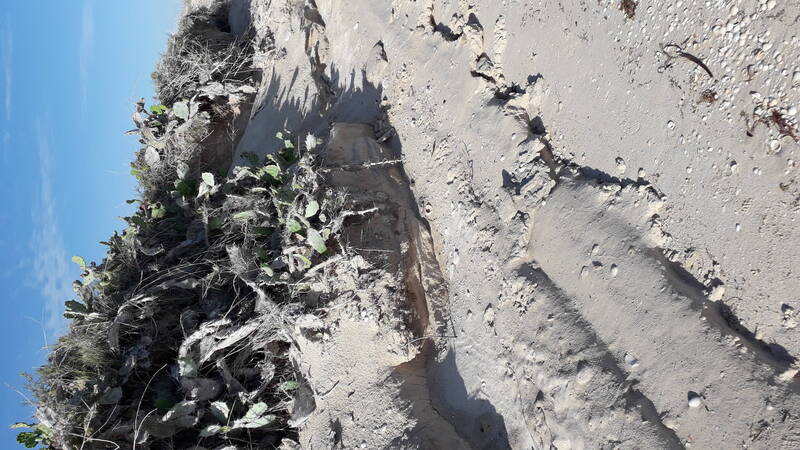 Image 20190725 083026