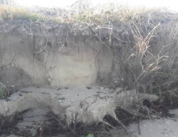 Image min 20191015 083230