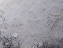Image min 20200206 091635
