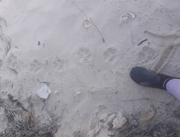 Image min 20200206 091641