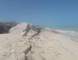 Image min 20200311 111855