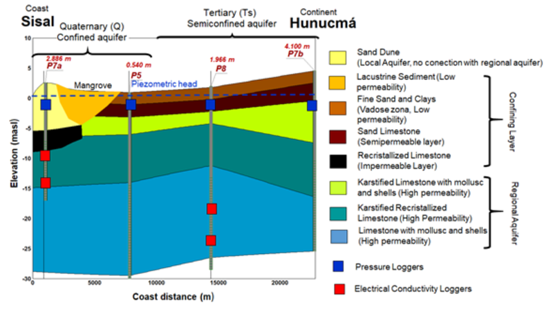 Image estratigrafia