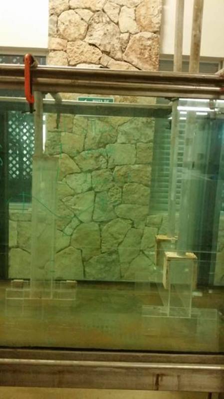 Image image7