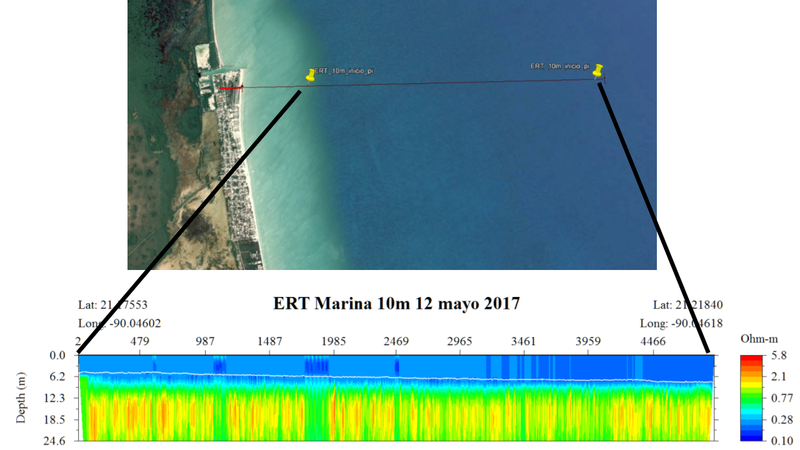 Image figure 2. marine